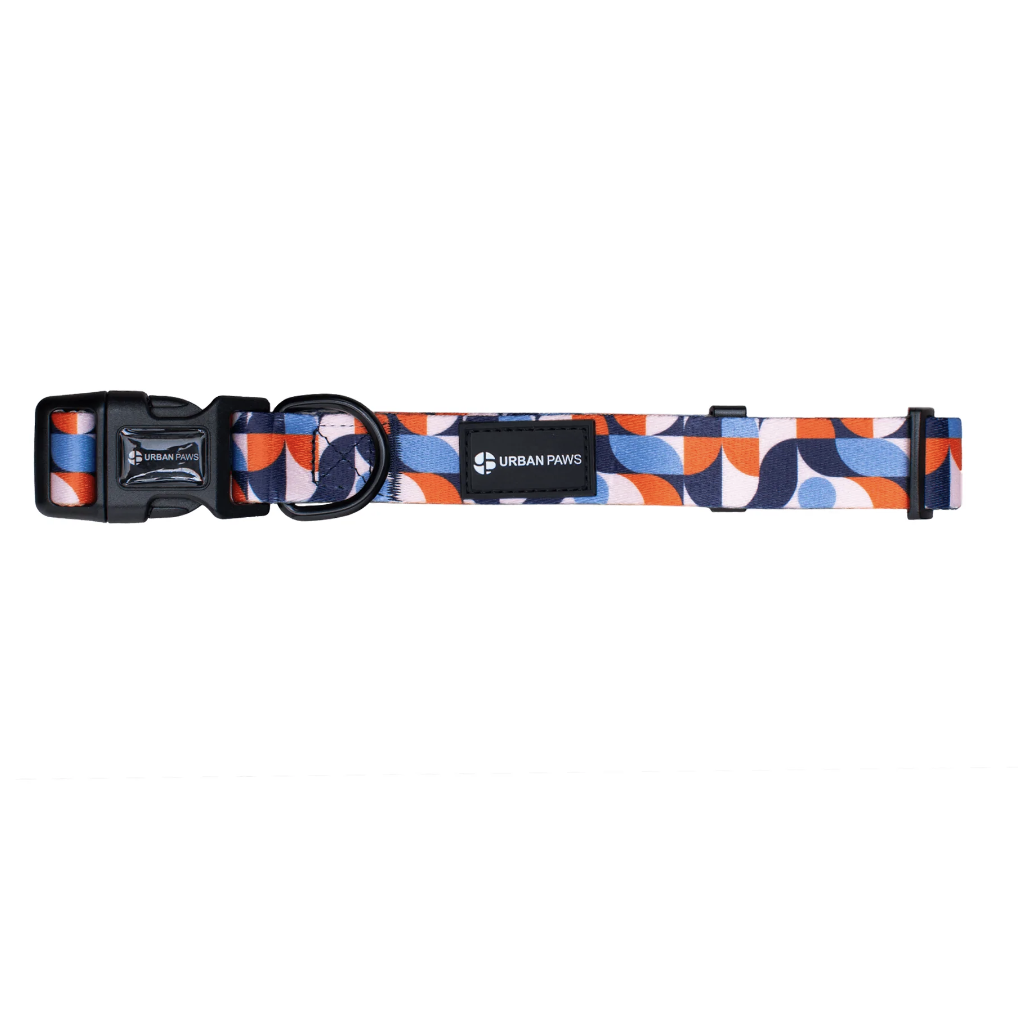 Dog Collars, Harnesses & Leads