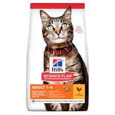 Cat Food