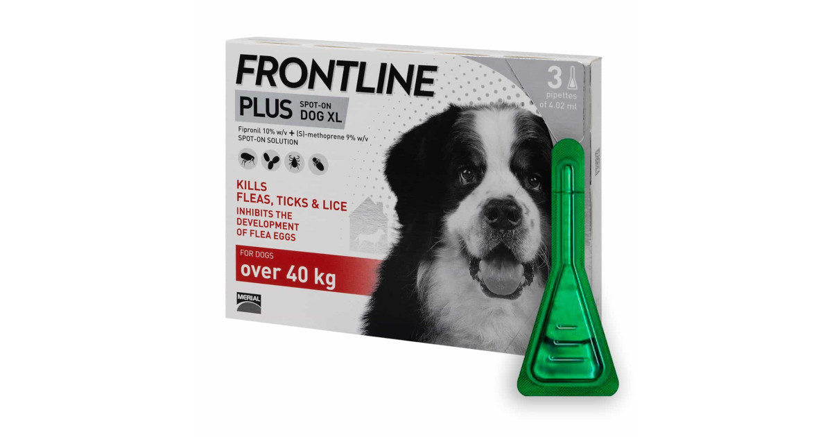 can your dog get fleas with frontline