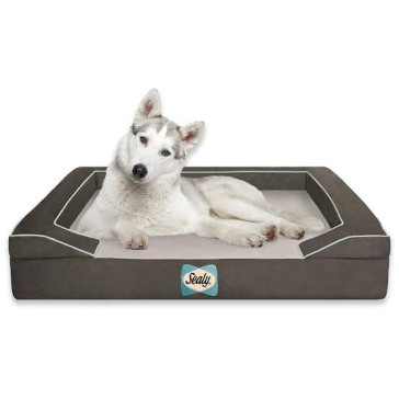 Sealy Lux Mattress Dog Bed