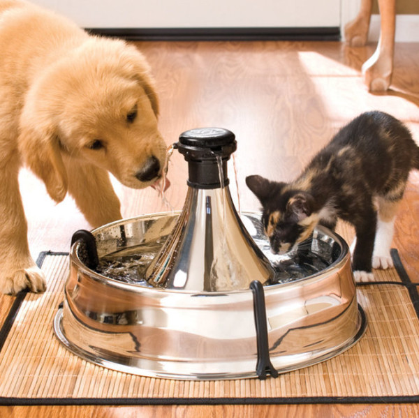 cat water fountain drinkwell 360