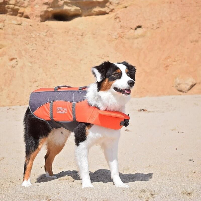 Granby Dog Life Jacket from Outward Hound Review! 