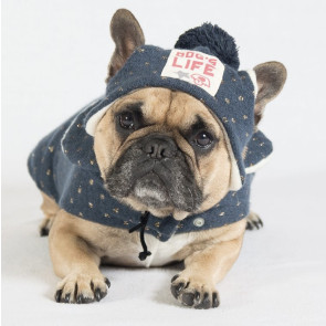 Dog's Life Under The Moon and Stars Hat - Navy