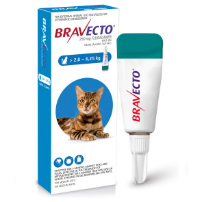 Bravecto Medium Cat 2.8-6.25kg Spot On Tick & Flea