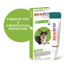 Bravecto Spot-On Medium Dog 500mg Tick & Flea Treatment