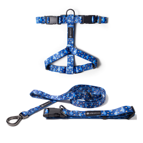Urbanpaws Mutley Dog Walkwear Set