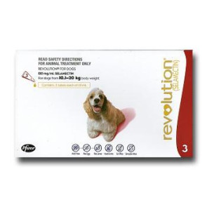 Revolution Medium Breed 10-20kg Dog Parasiticide
