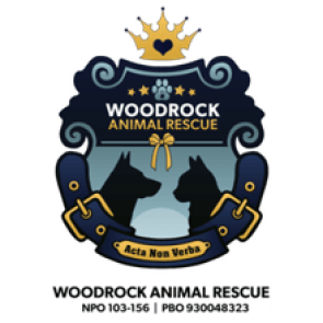 Donate R50 to Woodrock Animal Rescue