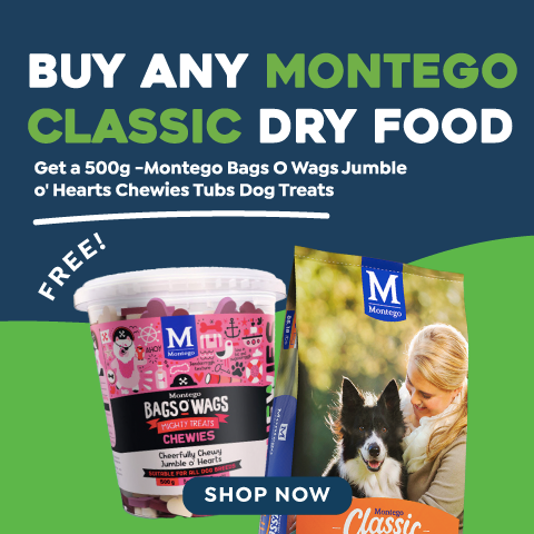 Shop Montego Classic