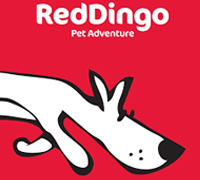 RedDingo