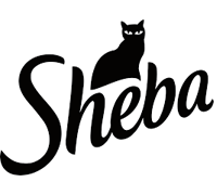 Sheba